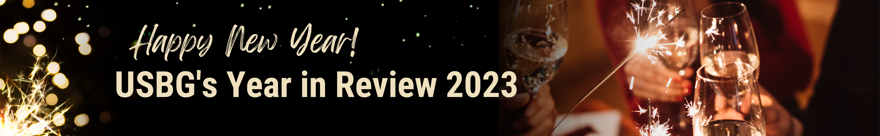 Celebrating Achievements and Looking Forward: USBG's Year in Review ...